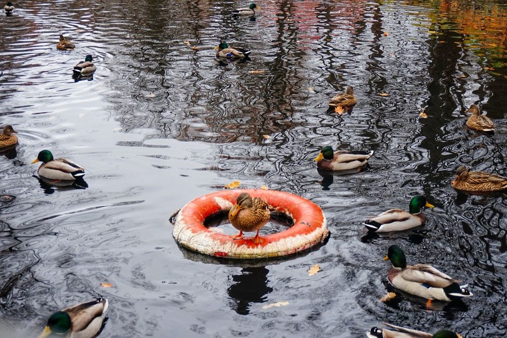 Photograph by Андрей Казаков