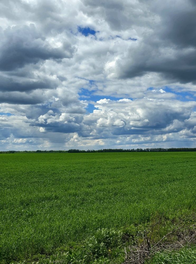 Фотография автора Veronika