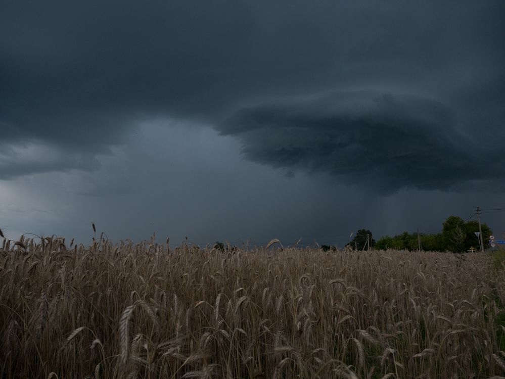 Фотография автора Врубель Андрей