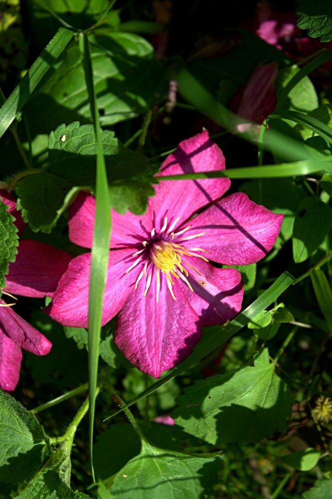 Photograph by Антон Корольков