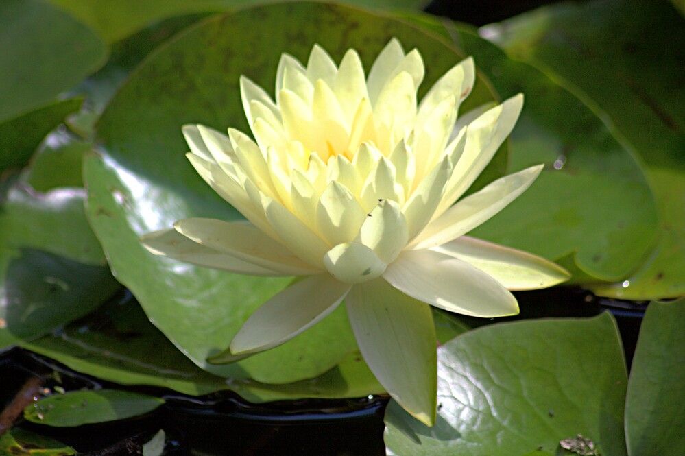 Photograph by Антон Корольков