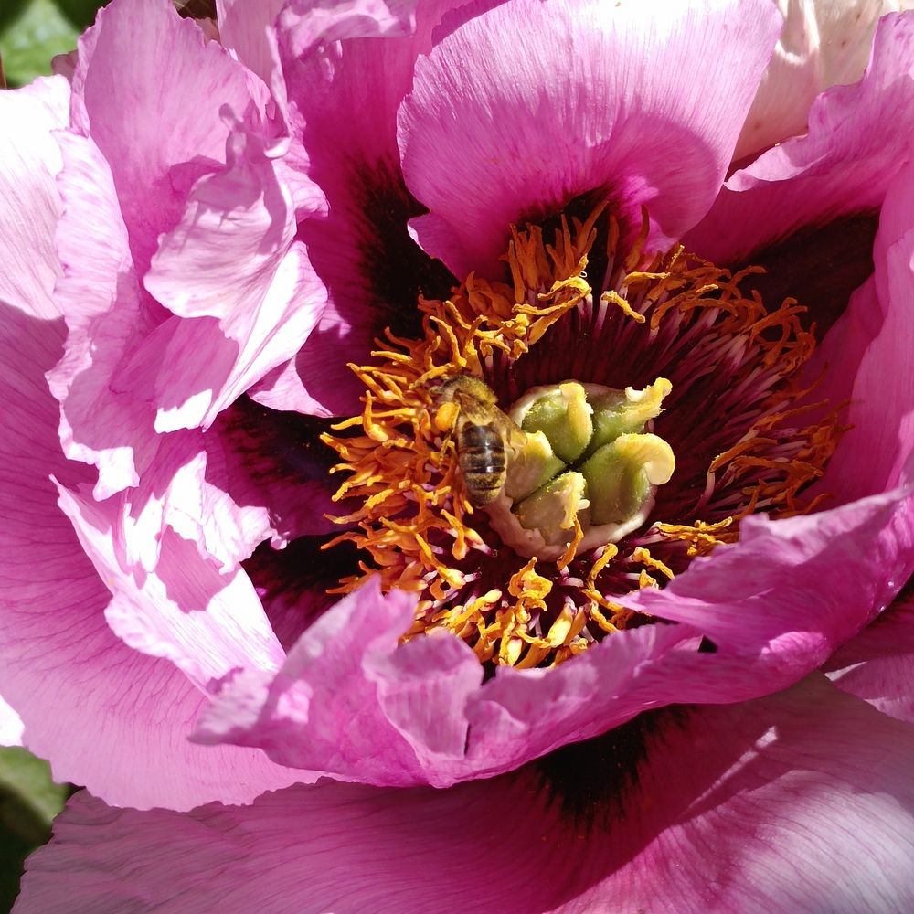 Photograph by Ирина Шведчикова