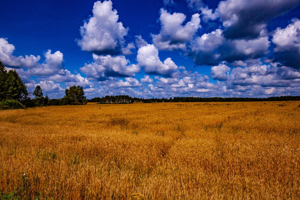 Photograph by Владислав Лопатов