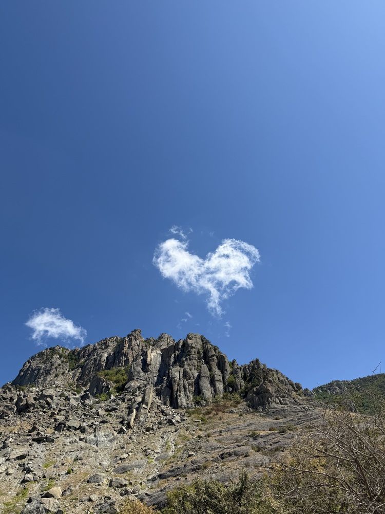 Photograph by Ольга Карева
