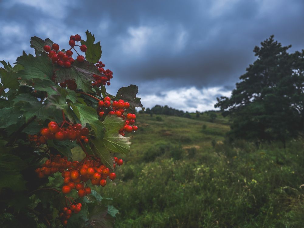 Photograph by Кирилл Сидоров