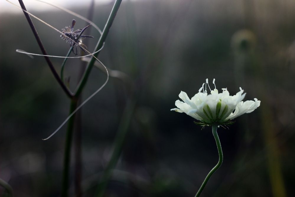 Photograph by Дмитрий Васючков