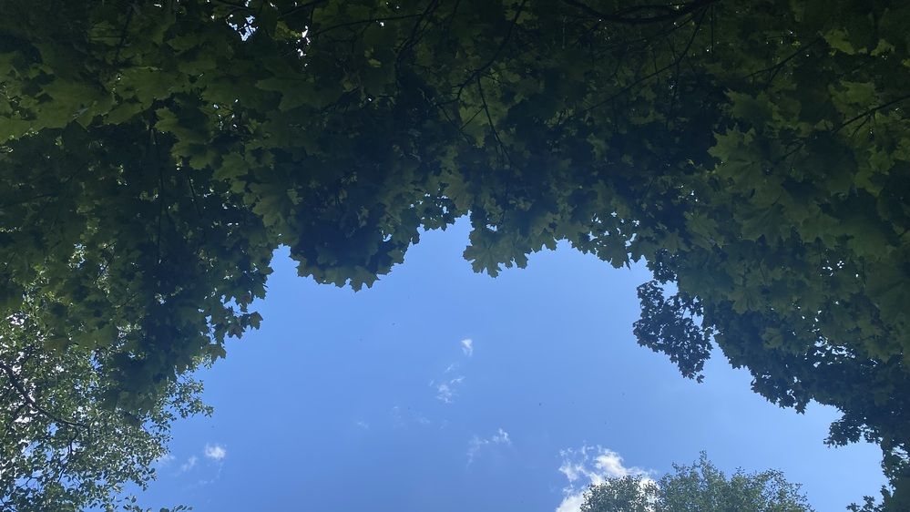 Сине-зеленое