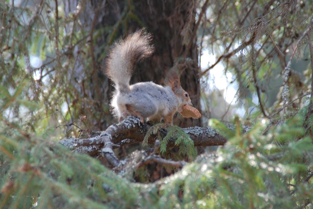 Photograph by Владислав Рубцов