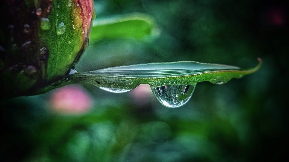 Photograph by Ирина Багдасарова