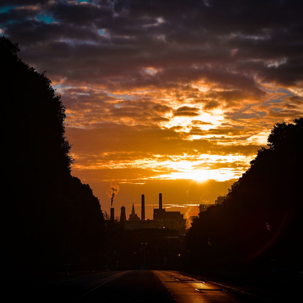 Photograph by Ángel Esteban