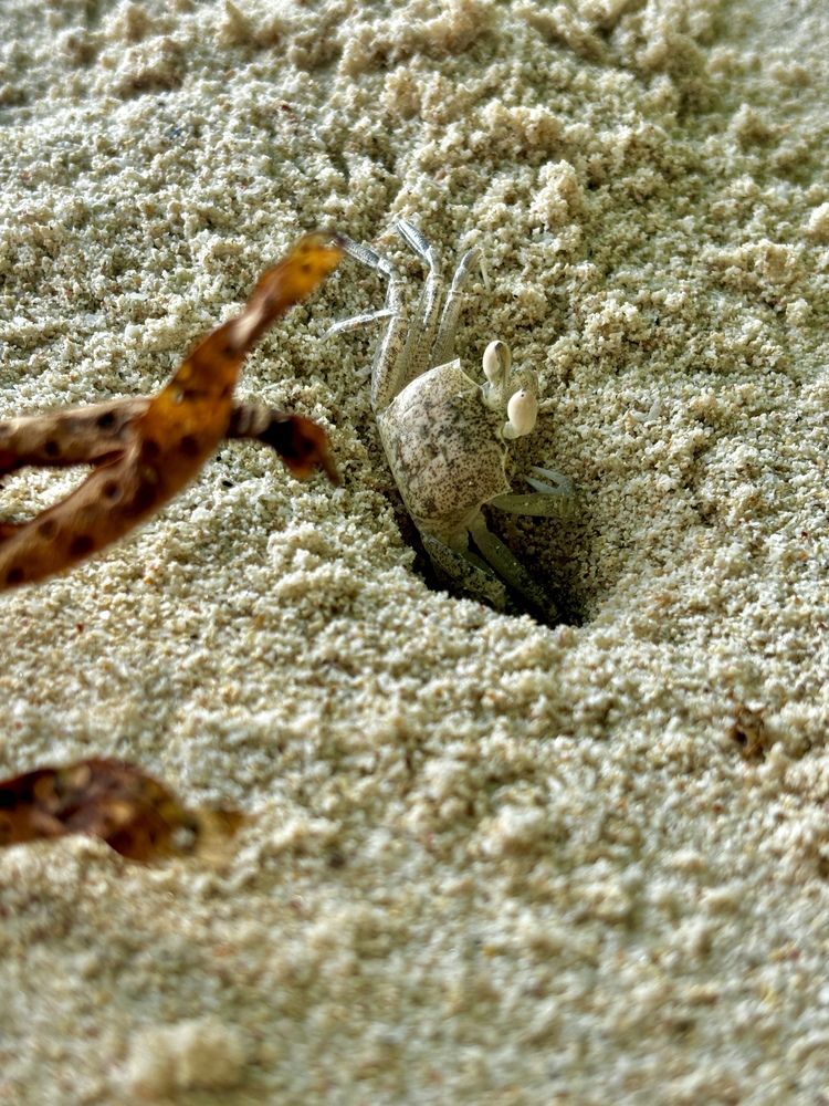 Фотография автора Valeriya