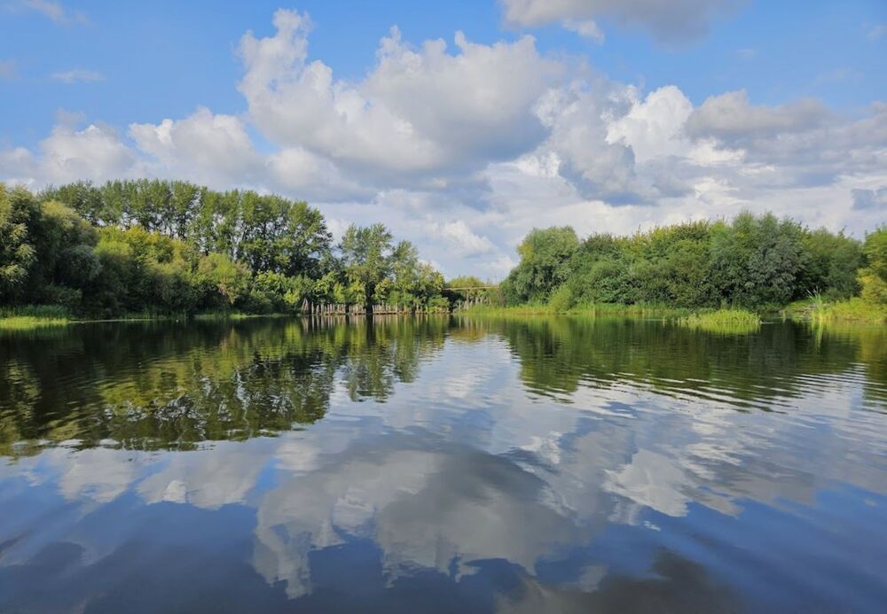 Photograph by Эльвира