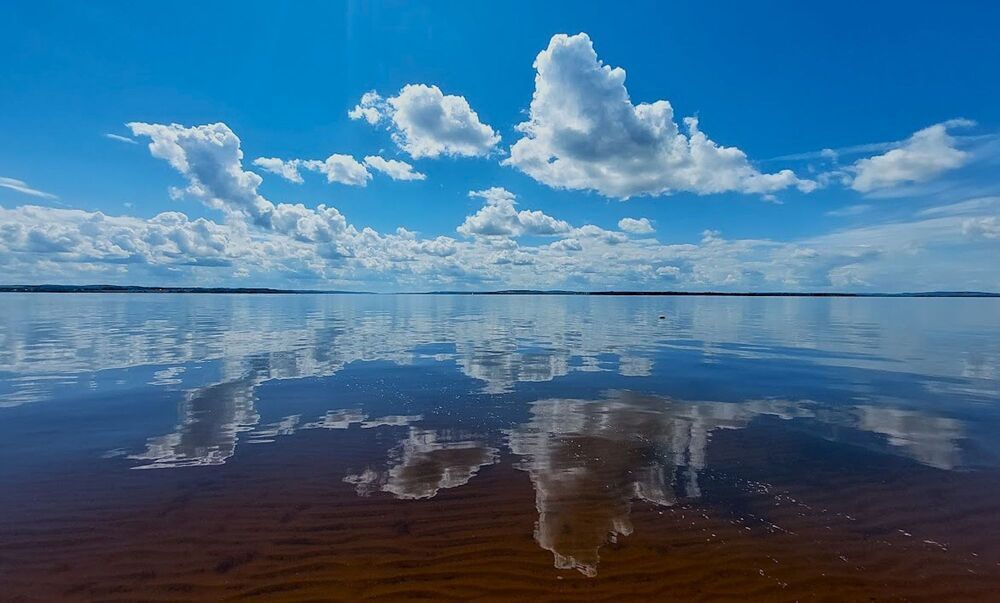 Photograph by Эльвира