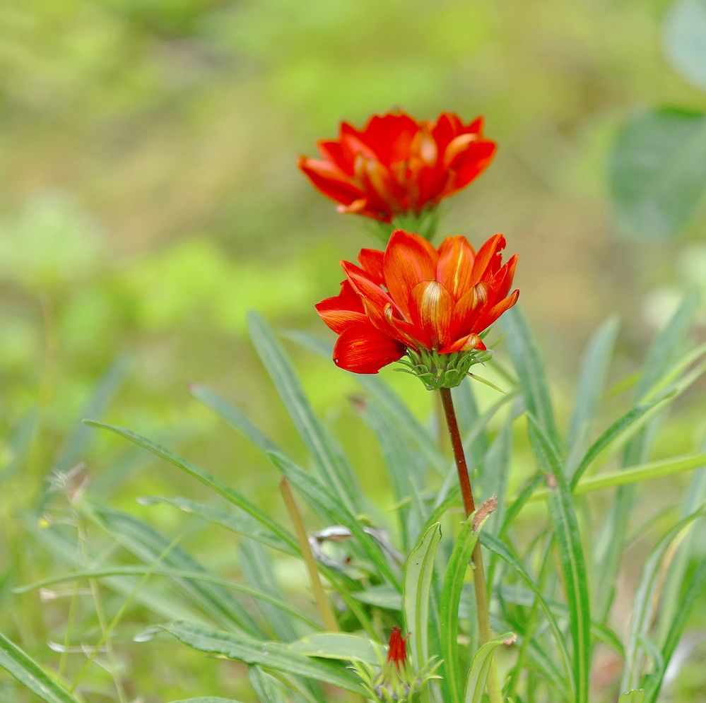 Photograph by Андрей Брагин