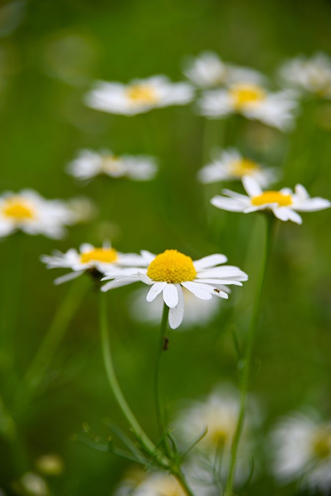 Photograph by Даниил Пузаков