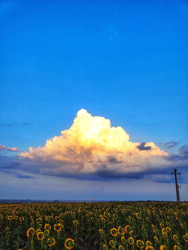 Photograph by Анна Напримерова