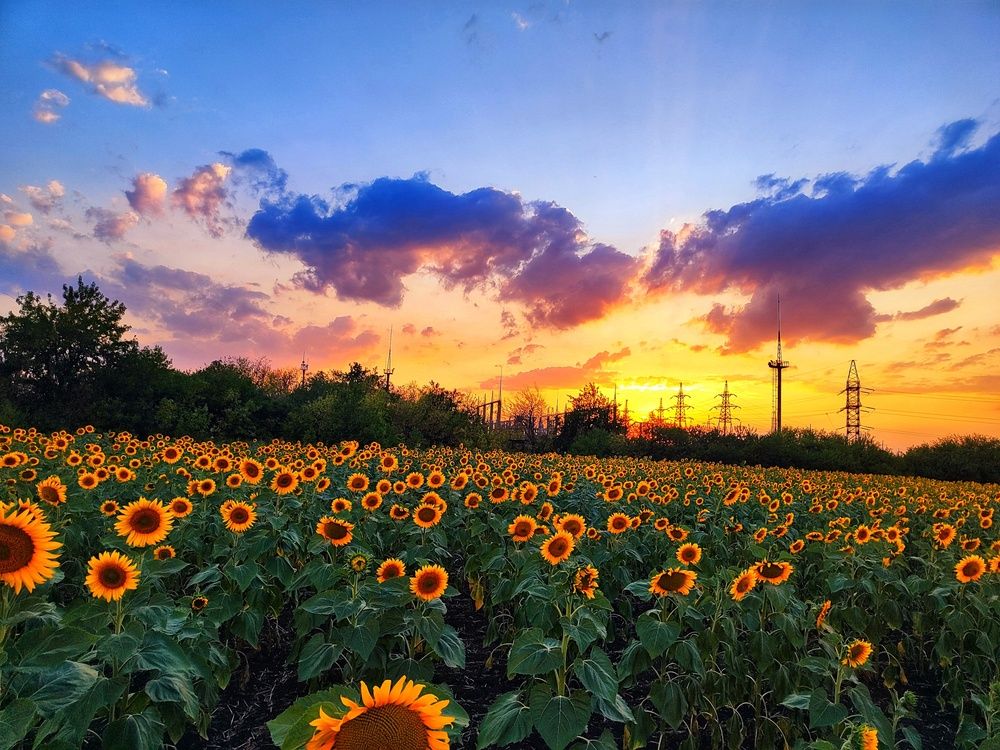 Photograph by Анна Напримерова