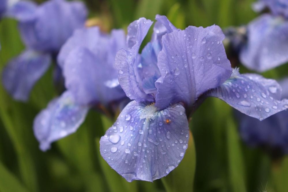 Photograph by Татьяна Котельникова