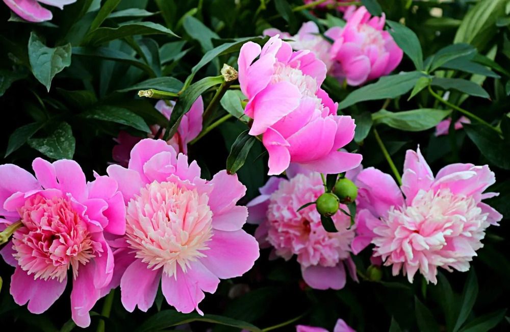 Photograph by Татьяна Котельникова