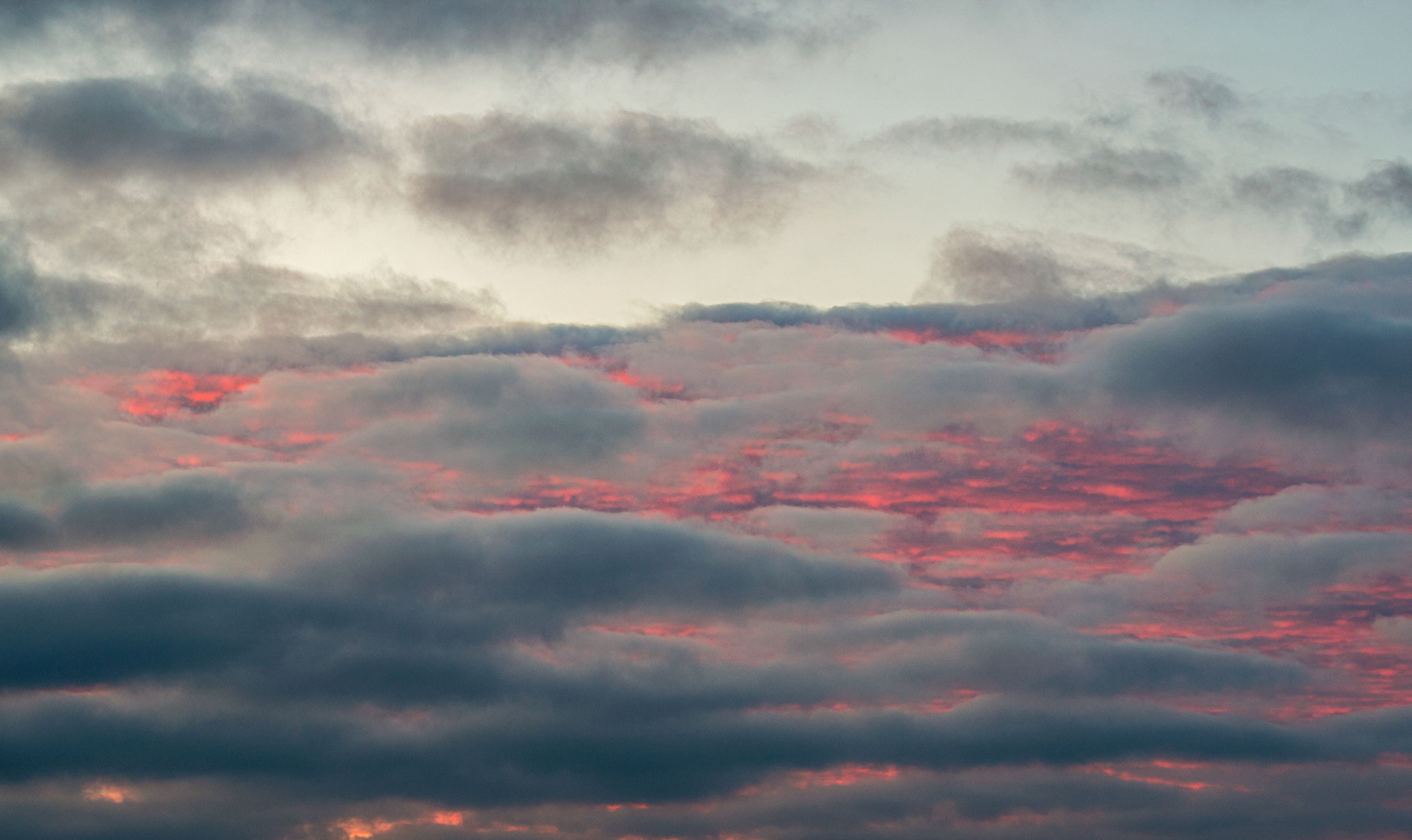 Photograph by Олег Алексеев