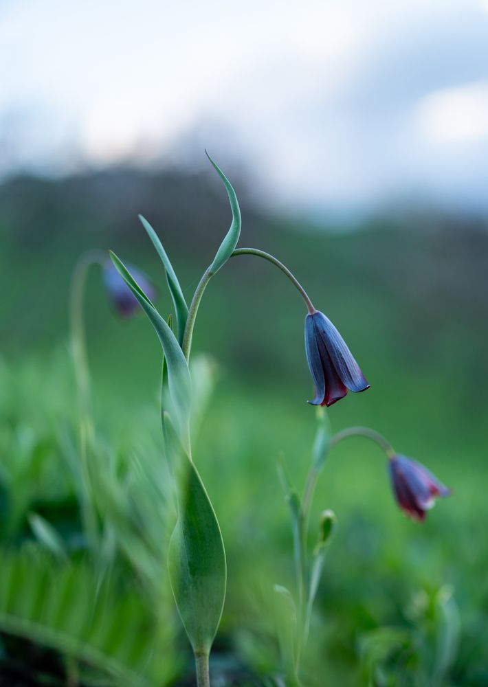Фотография автора Александр Левин