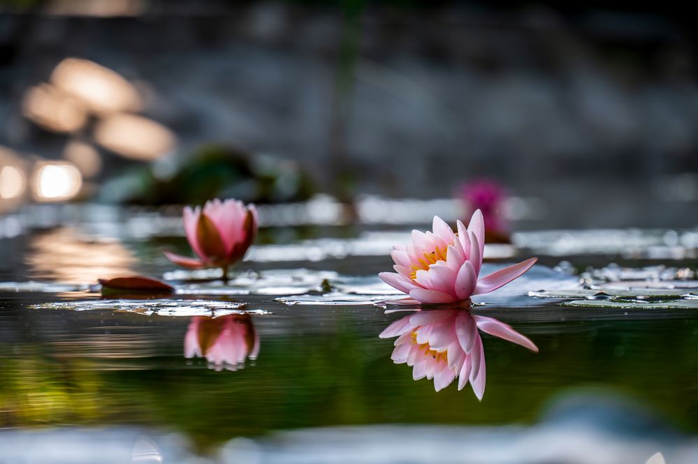 Photograph by Александр Левин