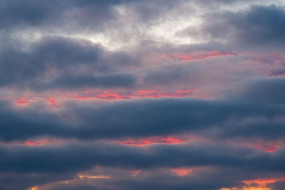 Photograph by Олег Алексеев