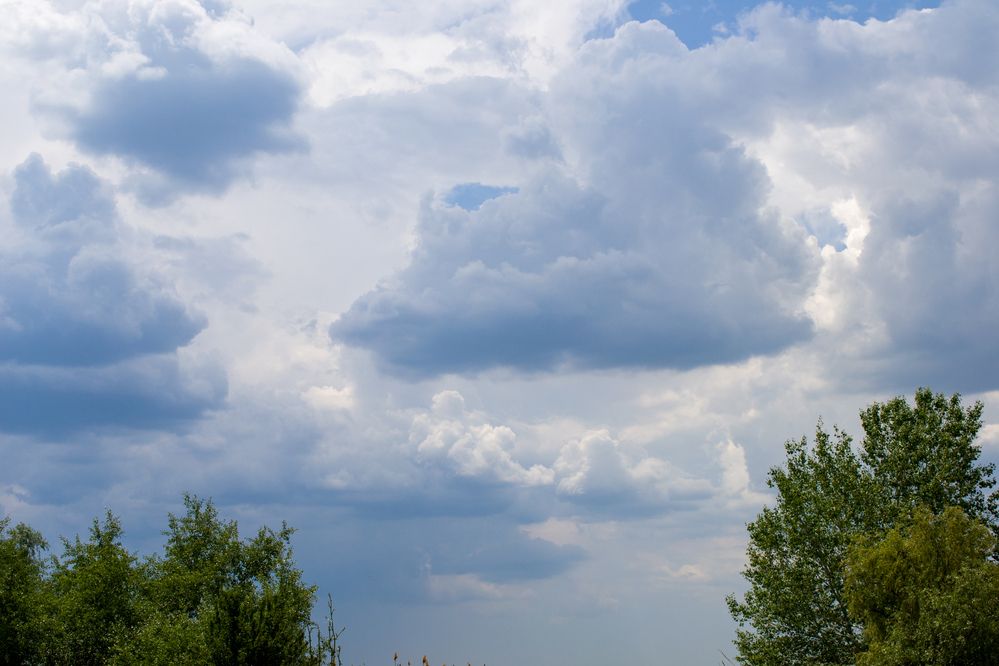 Photograph by Олег Алексеев