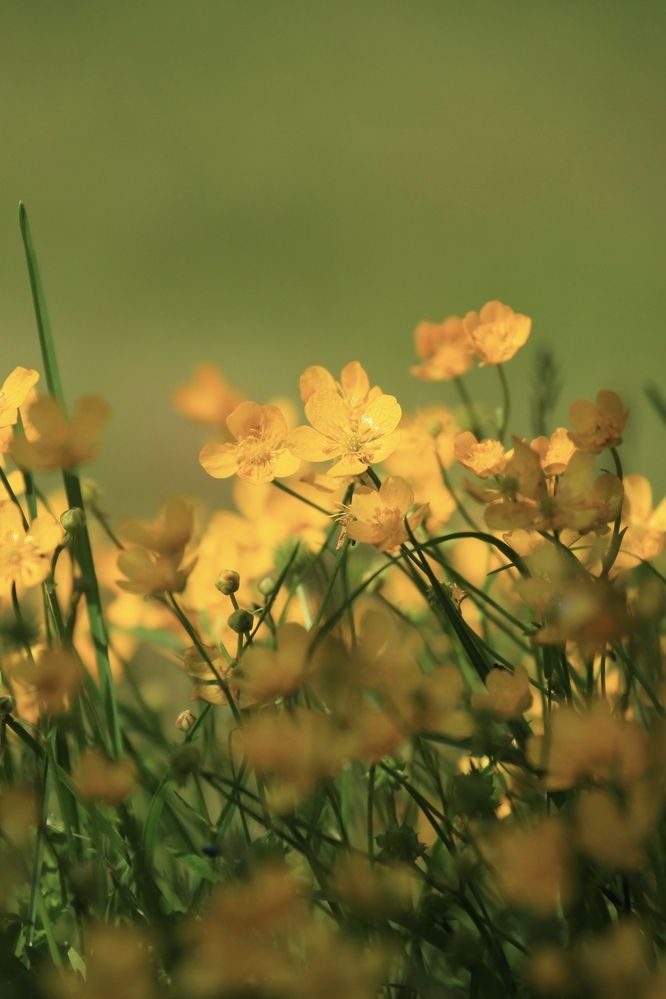 Photograph by Anastassia