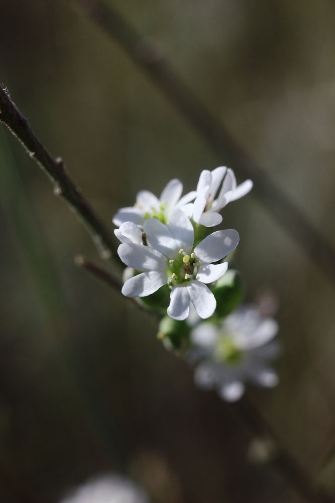 Photograph by Дмитрий Васючков