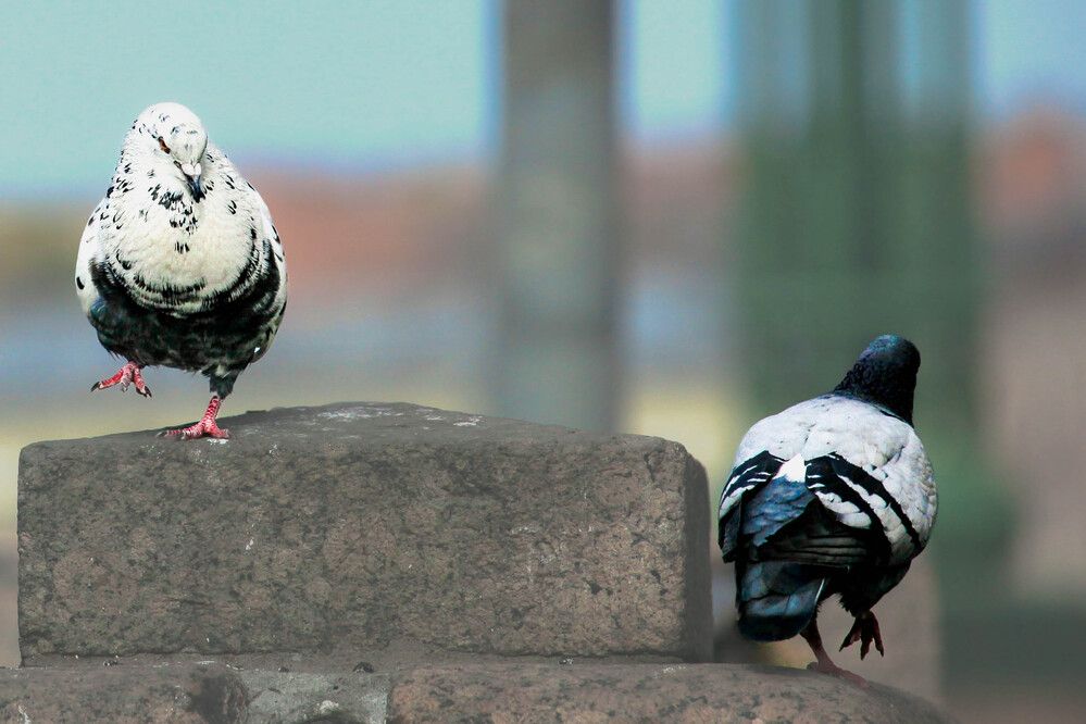 Photograph by Anastassia