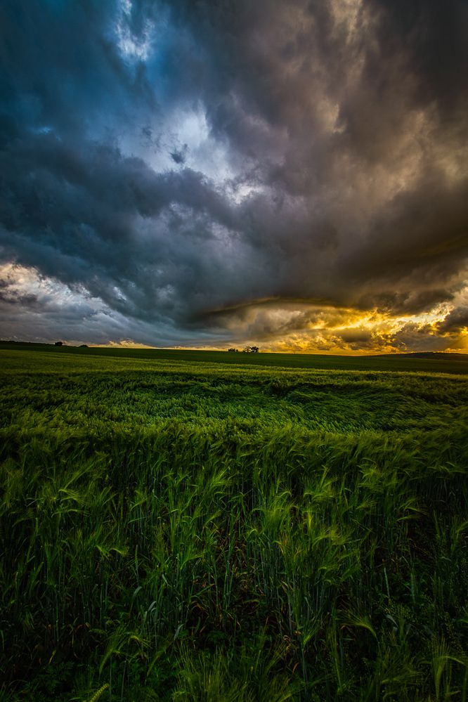 Photograph by Филипп Бабенко