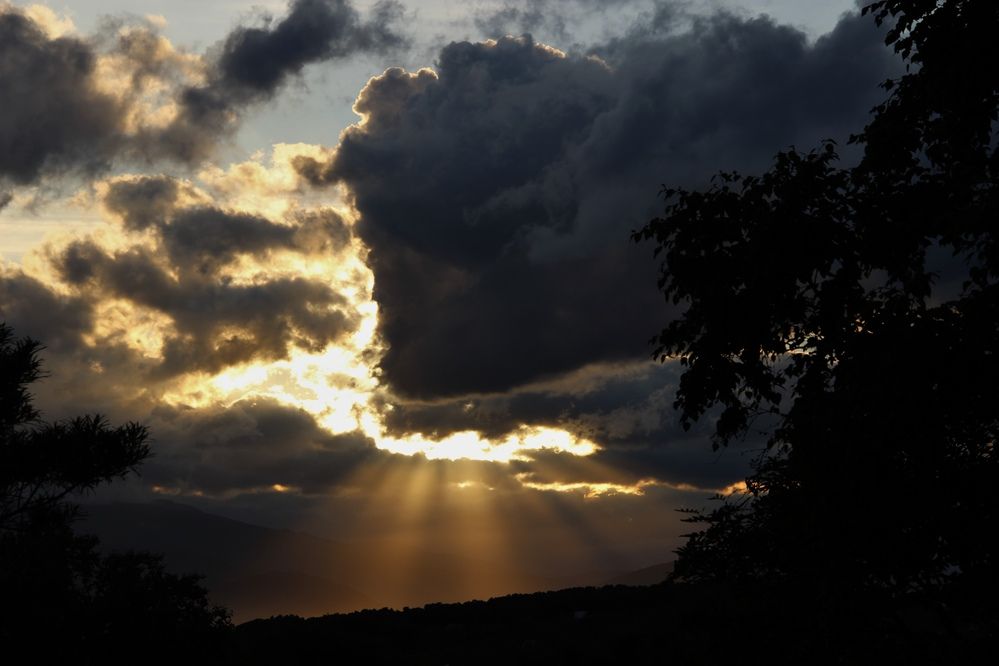 Фотография автора Эльза Завьялова
