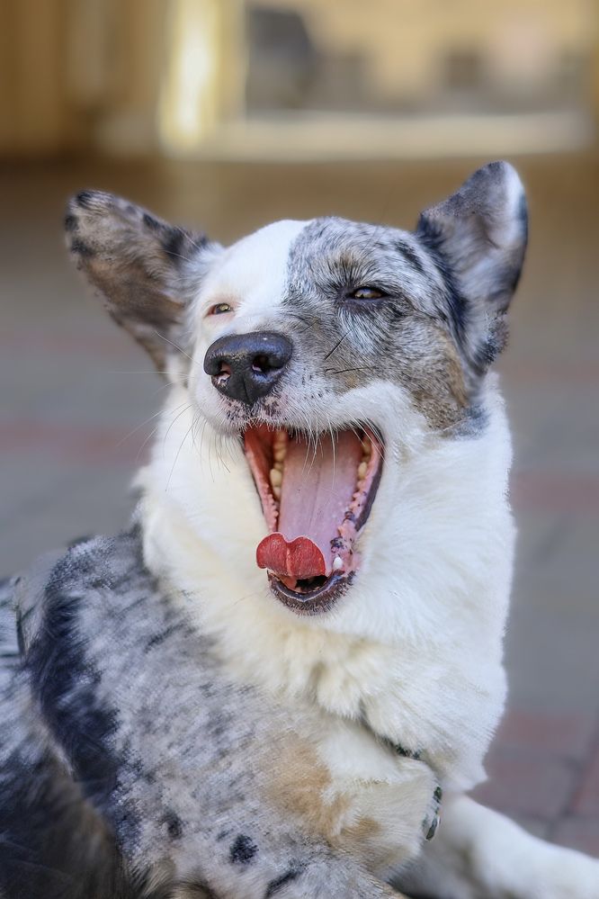 Photograph by Anastassia