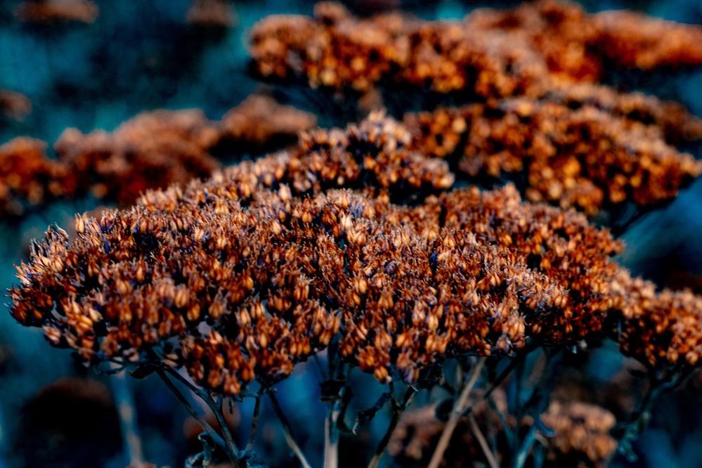 Photograph by Алексей Косенко