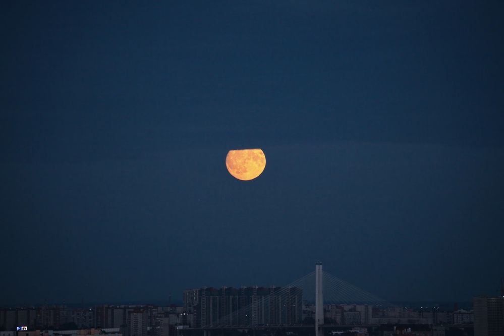 Photograph by Anastassia