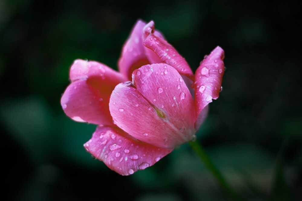 Photograph by Любовь Иванова