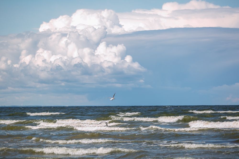 Photograph by Наталья Катюжанская