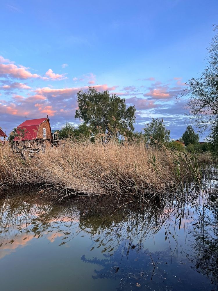 Photograph by OLGA LIZ