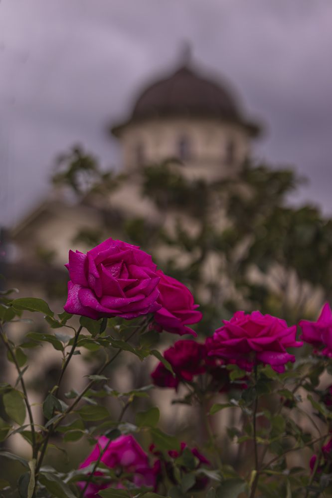 Photograph by Виктор Саврей