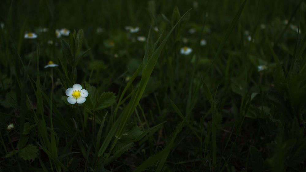 Photograph by Анна Масленникова-Бриль