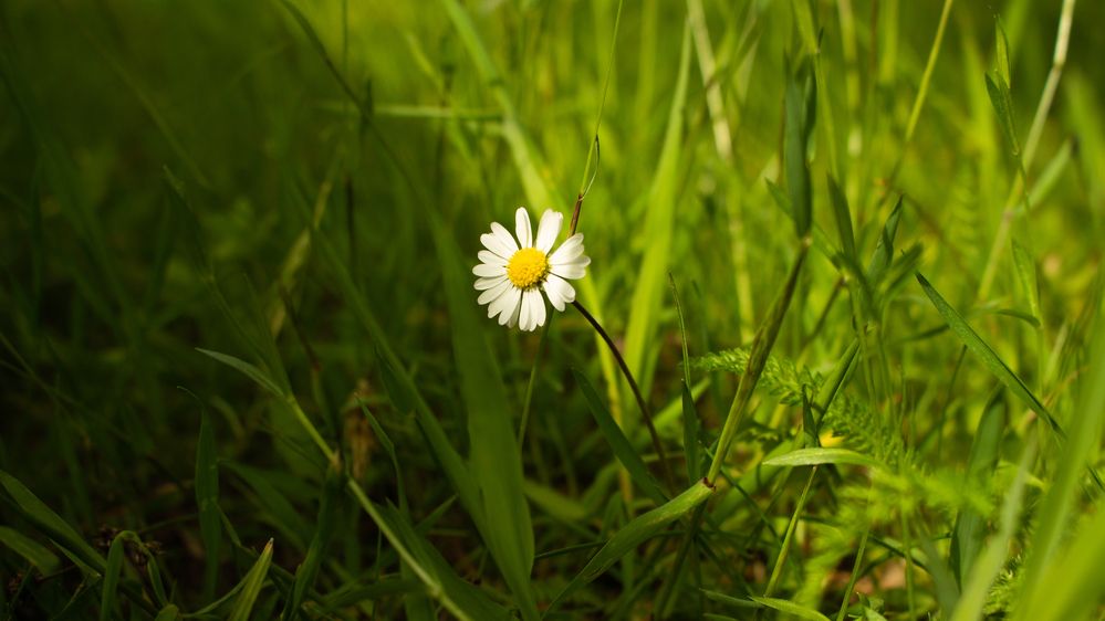 Photograph by Анна Масленникова-Бриль