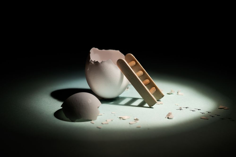 Photograph by Vikram Aditya Reddy