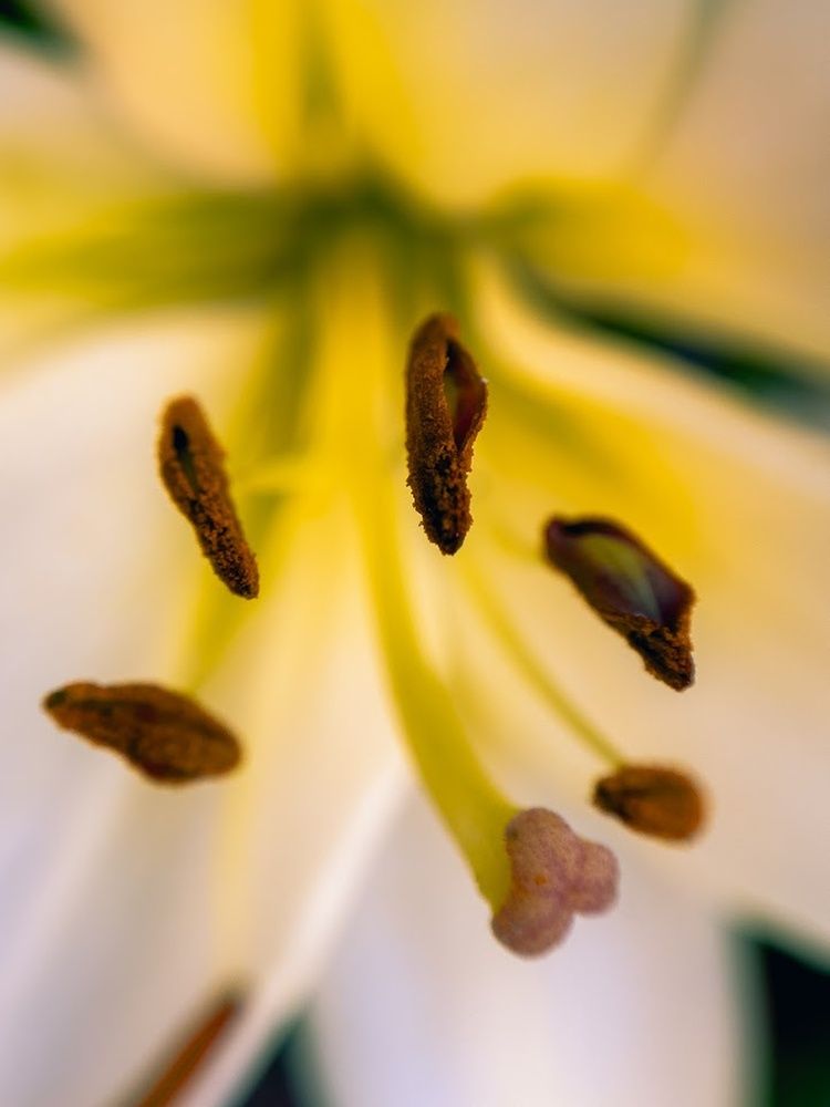 Photograph by Алёна Горошко