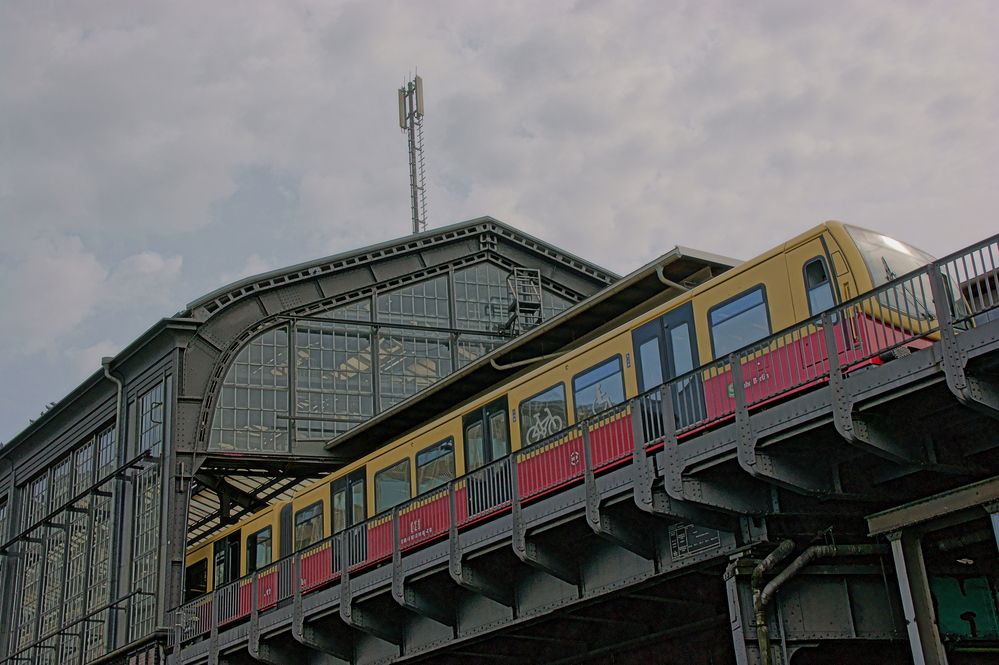 Фотография автора Sergej Roor