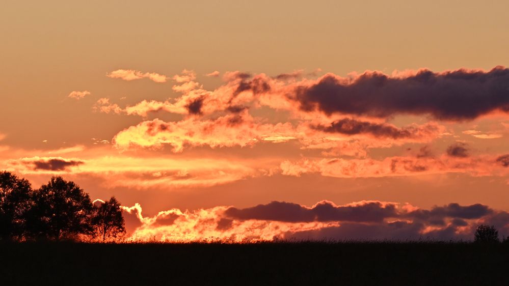 Photograph by Виктория Шажко