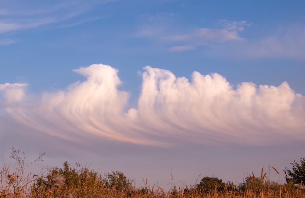 Фотография автора Наталья Липовская