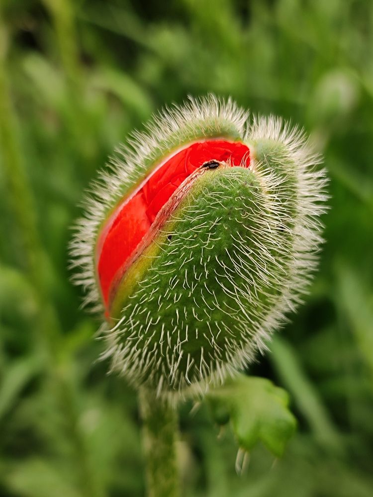 Фотография автора Татьяна Иванова