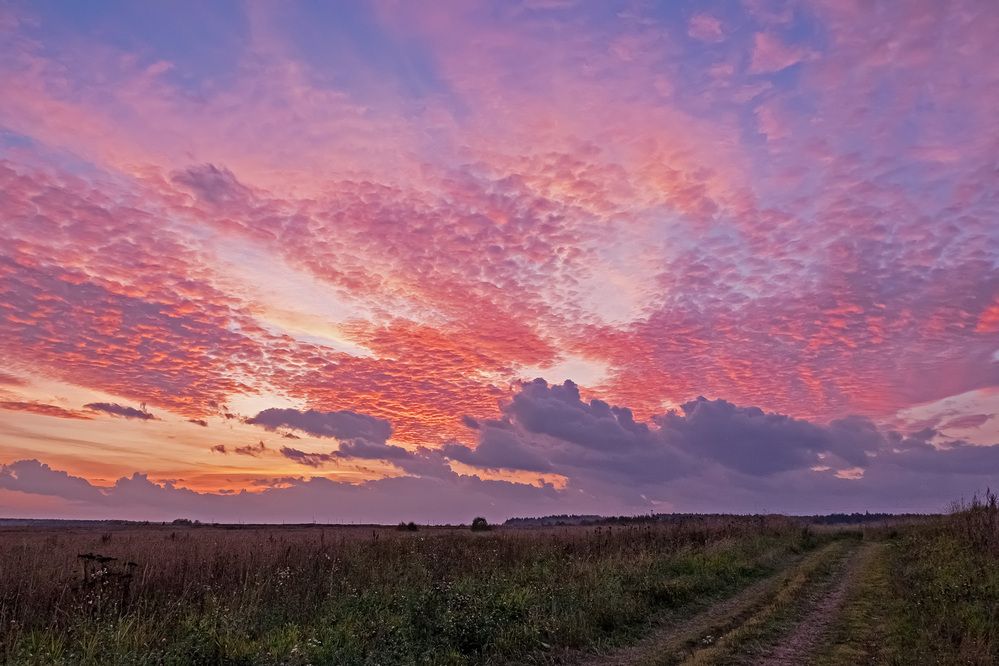 Photograph by Наталья Липовская