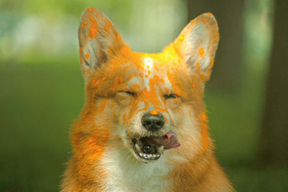 Photograph by Мария Лавриненко